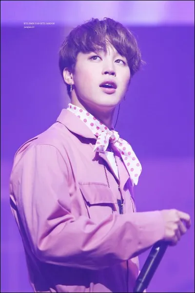 De quel groupe est l'Idol qui a dit pour plaisanter que Jimin était son genre ?