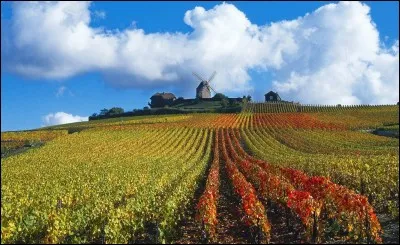 Le département de la Marne n'est pas limitrophe de celui :