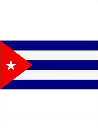 Est-ce que ce drapeau a des parties symétriques ?