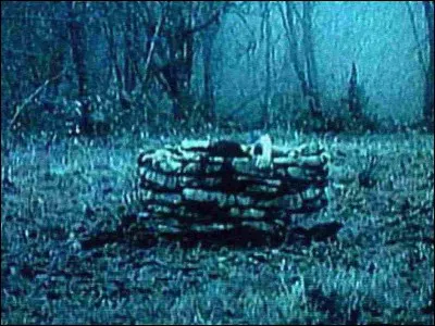 Dans ce même film, quel objet tue les personnes ?