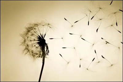 Tu perds espoir car tout semble se liguer contre toi. On te dit :