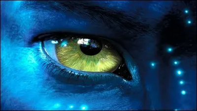 Que faisait James Cameron sur le tournage du film "Avatar" quand un portable sonnait ?