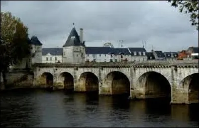 Commandé en 1565 par Catherine de Médicis pour remplacer un pont en bois, ce pont de Châtellerault (Vienne) se nomme ...