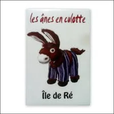 Pourquoi les sauniers de l'Ile de Ré faisaient porter des culottes à leurs ânes ?