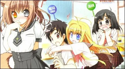 Dans « Dragon Crisis! », combien y a-t-il d'épisodes ?