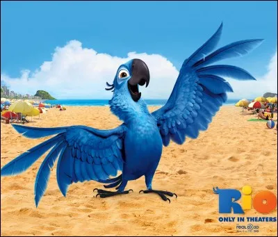 Comment s'appelle la femme de Blue dans "Rio" ?