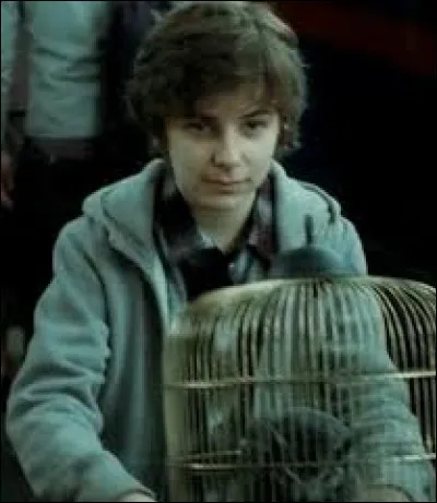 Comment s'appelle le premier enfant de Harry et Ginny Potter ?