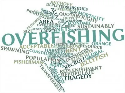 Quels sont les limites du PIB ?