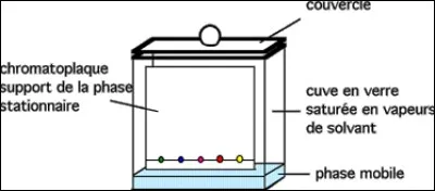 Ce dessin représente l'expérience de la chromatographie sur couche mince (CCM). Comment se nomme le liquide au fond du récipient servant à faire avancer les dépôts sur la feuille ?