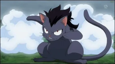Quel esprit a transformé Gajeel et Panther Lily en animaux ?