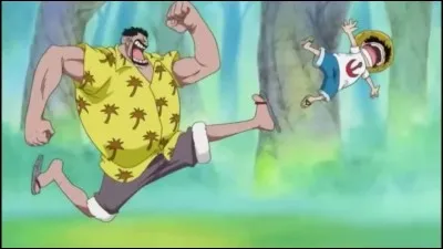 Qui est le grand-père de Luffy ?