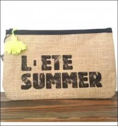 Quelle vedette découverte dans ''Nouvelle Star'' a chanté ''L'été Summer'' ?