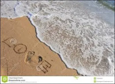 Quel chanteur déjà cité dans ce quiz a chanté ''Amour d'été'' ?