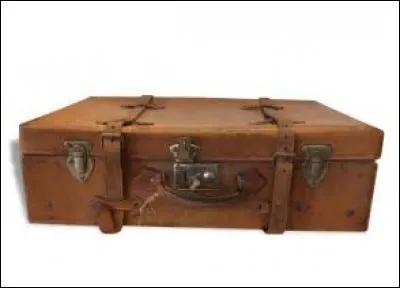 Le lendemain, quand Della pr&eacute;tend avoir bient&ocirc;t fini les valise de Sophie, cette derni&egrave;re n'est pas vraiment s&ucirc;re d'appr&eacute;cier les propos de l'&eacute;clipseuse. Que dit-elle alors ?