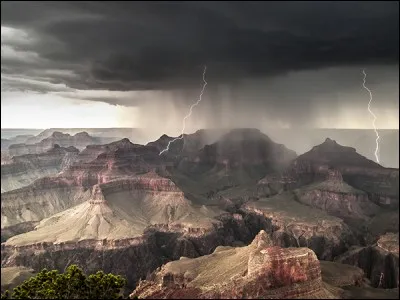 La vraie est un régal pour les papilles, la fausse est toxique, alors ne vous trompez pas !