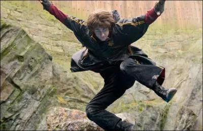 Cette image, est-elle la premire, deuxime, troisime, quatrime ou cinquime  apparatre dans le film parmi ces 5 images ?