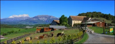 Simulation 8 : tu te retrouves dans une ferme tenue par un couple en difficulté, tu es là pour les aider avec d'autres personnes. Quelle tâche préférerais-tu qu'on te donne ?