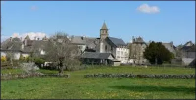 Dans quel département irez-vous si vous emménagez dans le village de Pleaux qui fait partie de la Région Auvergne-Rhône-Alpes ?