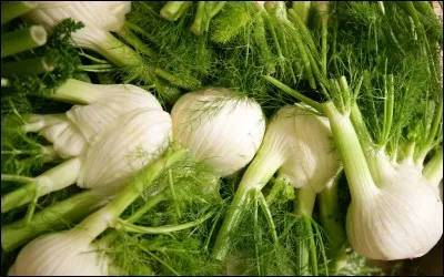 Le fenouil est un légume dont on mange les ...