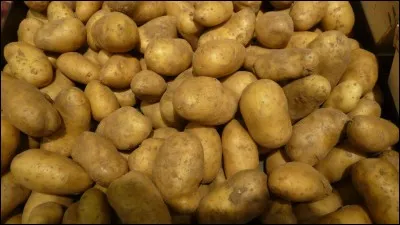La pomme de terre est un légume dont on mange les ...