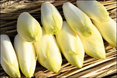 L'endive est un légume dont on mange les ...
