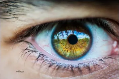 Dans quelle fourchette de longueurs d'onde λ l'œil est-il sensible aux radiations lumineuses ?