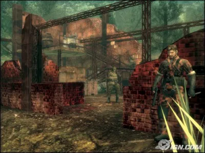 Quel est ce jeu vidéo ?