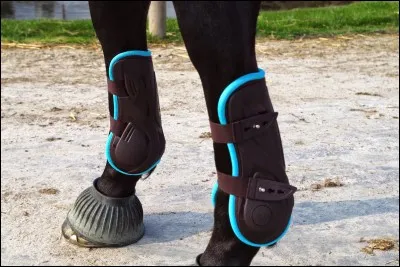 Quelles sont les protections sur cette photo ?