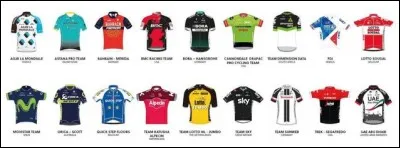 Quel coureur cycliste n'est pas correctement associé à son équipe ?