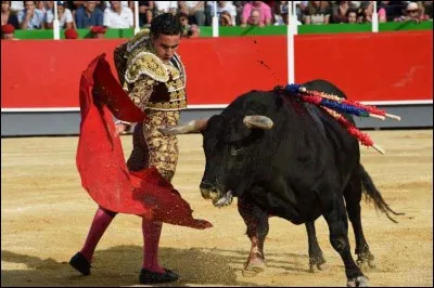 Où sont les places les plus chères dans une arène de corrida ?