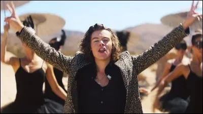 Comment est surnommé Harry par le directeur ?