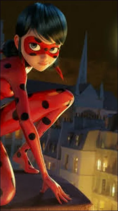 Qui est amoureux de Ladybug ?