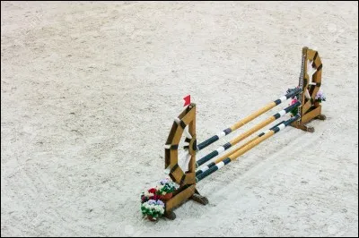 Comment s'appelle l'obstacle ?