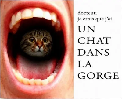 Quand votre gorge vous gratte, on dit souvent que vous avez un chat dedans. Comment traduire la gorge ?