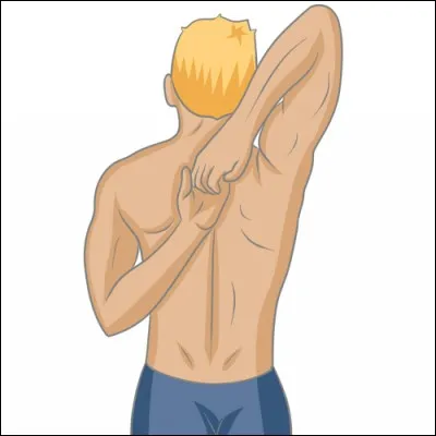 La réponse est l'articulation qui se situe environ au milieu de notre bras. De quoi s'agit-il ?