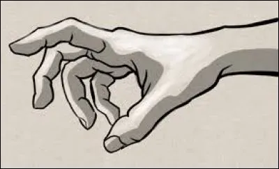 Sur quelle partie de la main peut-on trouver nos lignes de vie ?