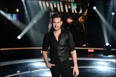 Qui a chant&eacute; "I feel alive" ?