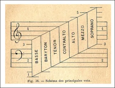 L'alto est un instrument qui porte donc le même nom qu'une voix grave de femme, mais de quel type d'instruments fait-il partie ?