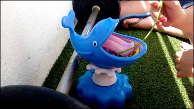 Quel est le nom de ce jeu de société ?