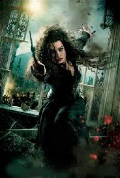 Où Bellatrix est-elle envoyée par le Choixpeau ?