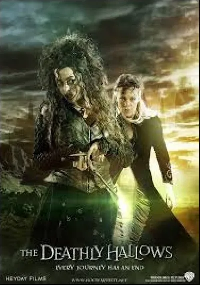 Pourquoi Bellatrix et Narcissa ont-elles renié leur sur ?