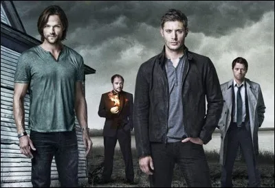 De quelle série provient cette image ?