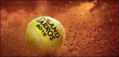 Quel sportif est le vainqueur de Roland-Garros 2017 ?