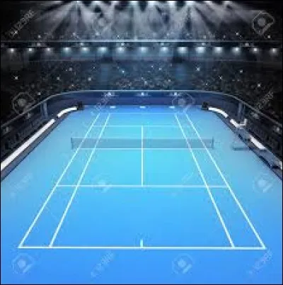 Quelle est ta surface de jeu préférée ?