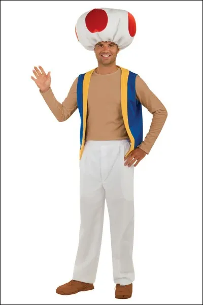 Dans quel jeu vidéo retrouvons-nous Toad ?