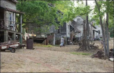 Qu'est-ce que la Veine ?