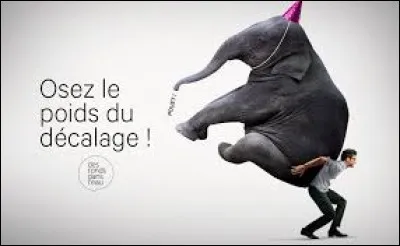 Vous avez une conscience intense de votre corps physique et vous aimez vous nourrir avec attention, votre cerveau reptilien est très calme et vous êtes du genre discipliné. Quelle est donc votre couleur d'aura ?