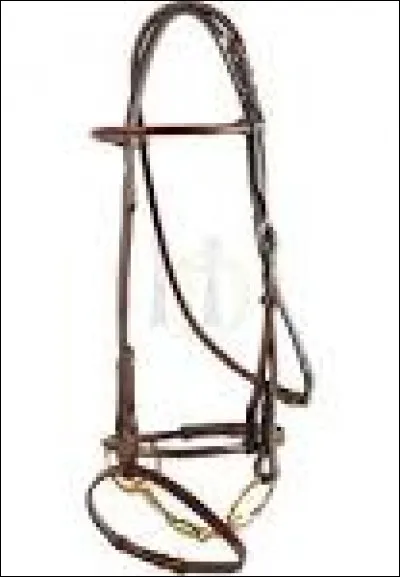 Comment appelle-t-on cet objet très utile à l'équitation ?