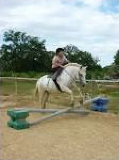 Comment appelle-t-on cet obstacle ?