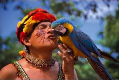 Dans les régions polaires, glacier formant une vaste coupole !